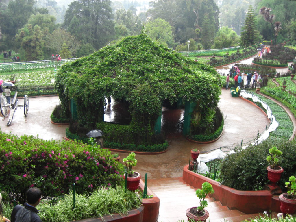 Botanical Gardens in Ooty, Tamil Nadu